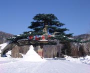 牡丹明天天气