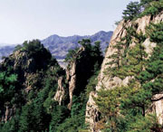 开原后天天气