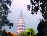 长清明天天气