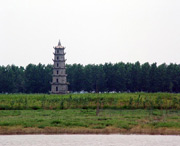 沅江后天天气