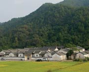大埔今天天气